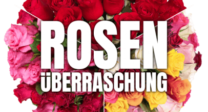 Blumenüberraschung mit 35 Rosen für 22,98€