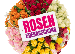 40 Rosenüberraschung für 24,98€