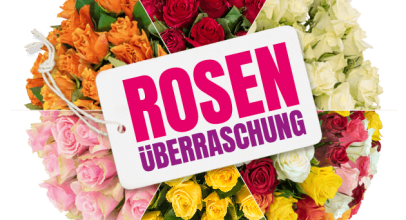 40 Rosenüberraschung für 24,98€
