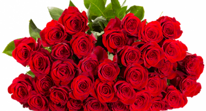 Blume Ideal – 41 Rosen „ClassicRed“ für 24,98€