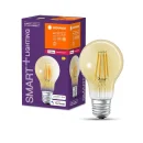 4x Ledvance Smart+ Filament A60 Birnen 6W E27 Gold extra warmweiß dimmbar für 9,49€ inkl. Versand!