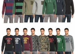 Dickies Herren Sweatshirt Sweatjacke Hoodie für 12,99€ inkl. Versand