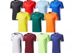 adidas Performance Entrada 18 Herren Trikot Sportshirt für 10,95€ inkl. Versand!