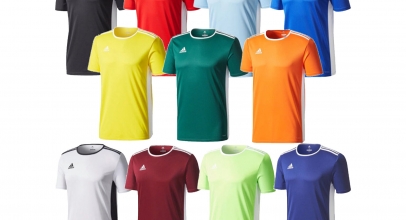 adidas Performance Entrada 18 Herren Trikot Sportshirt für 10,95€ inkl. Versand!