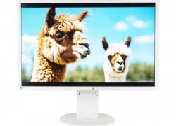 EIZO FlexScan EV2416W 24,1 Zoll LED Monitor 1920×1200 16:10 5ms 60Hz DP Pivot sg – Sehr gut – Refurbished für 35,91€ inkl. Versand!