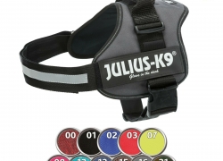 Julius-K9 Powergeschirr Nylon Hundegeschirr gepolstert, verschiedene Farben für 17,99€ inkl. Versand!