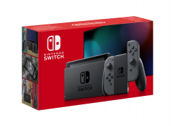 Nintendo Switch Lite Konsole 32GB grau für 260,99€ inkl. Versand!
