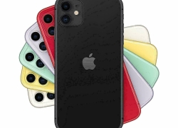 Apple iPhone 11 – 256GB schwarz, weiß, violett, rot, grün für je 549,-€ inkl. Versand!