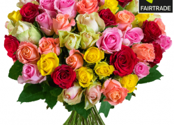 37 bunte FAIRTRADE Rosen für 21,98€