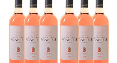 6 Flaschen Bodegas y Viñedos „Casa del Valle“ – Acantus Rosado für 31,98€